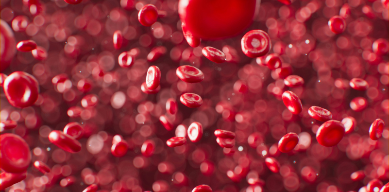 A graphic of red blood cells flowing through the bloodstream.