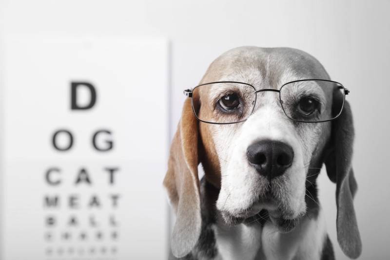 Image for Robinson Optometrists tips for healthy eyes